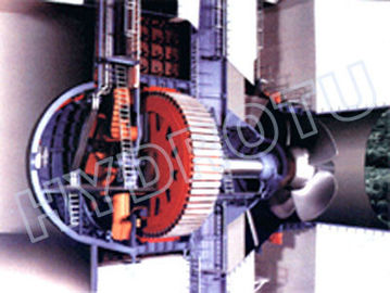 De lage Hydroturbine van de Water Hoofdbol/de Turbine van het Bolwater/Tubulaire turbine met Vaste Bladen/Beweegbare Bladen