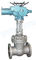 PN 0.25 - 6.4 Mpa Elektrische Hand Van een flens voorzien Poortklep/Sluisdeur voor HydroKrachtcentrale
